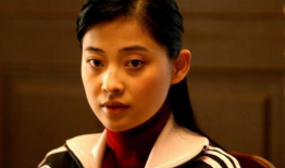 梅婷主演的电视剧全部,穿越时光的悲喜人生