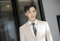 文章演的电视剧有哪些,从文章到荧幕的华丽转身