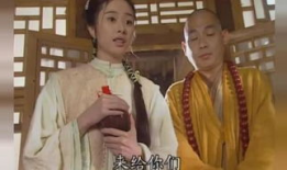 方世玉电视剧,武林传奇，少年英雄的江湖征程