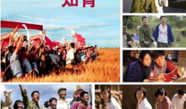 知青 电视剧,青春岁月的奋斗与变迁